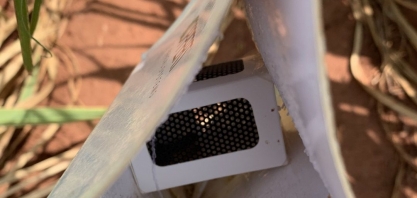 Nova armadilha é usada para estudo da broca da cana