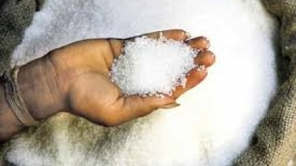 Contratos futuros do açúcar fecham no vermelho em todos os lotes