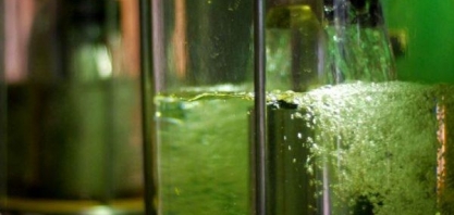 Etanol: Brasil quer exportar tecnologia para a Índia