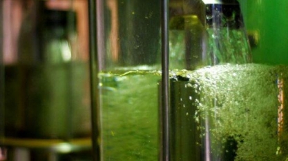 Etanol: Brasil quer exportar tecnologia para a Índia