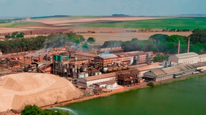 Com lucro de R$436,3 mi no 2º tri 2020/21, Biosev tem 1ª ganho semestral da história
