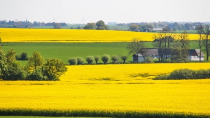 Especialista argentino sai em defesa dos biocombustíveis