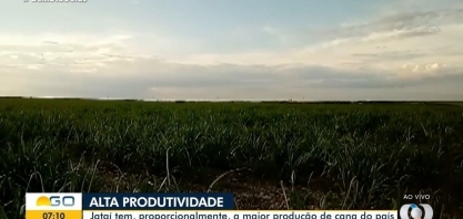 Produtividade da cana está em alta em Jataí
