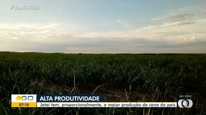 Produtividade da cana está em alta em Jataí