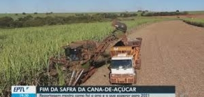 Veja como foi o ano da cana-de-açúcar e o que esperar para 2021
