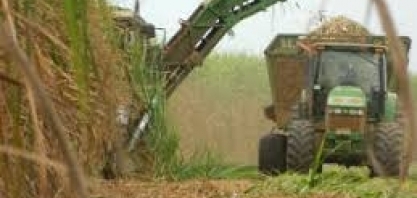 Embrapa Agroenergia participou de reunião na CNA para debater setor sucroenergético