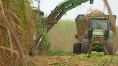 Embrapa Agroenergia participou de reunião na CNA para debater setor sucroenergético