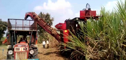 Crescimento agrícola da índia pode ser o maior em três anos em três anos