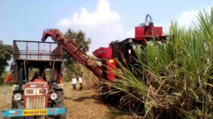 Crescimento agrícola da índia pode ser o maior em três anos em três anos