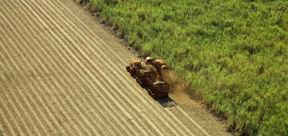 Moagem atinge 564,91 milhões de toneladas no Centro-Sul