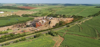 Usina Jacarezinho plantou mais de 100 mil mudas nativas às margens do Paranapanema