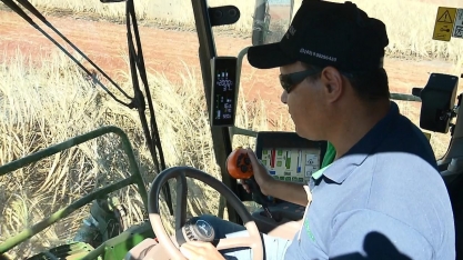 Um novo perfil de cortador de cana