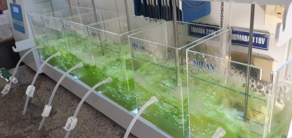 Sanepar detém patente para produzir etanol a partir do esgoto