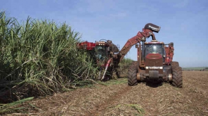 São Martinho irá pagar R$ 120 milhões em juros sobre o capital próprio