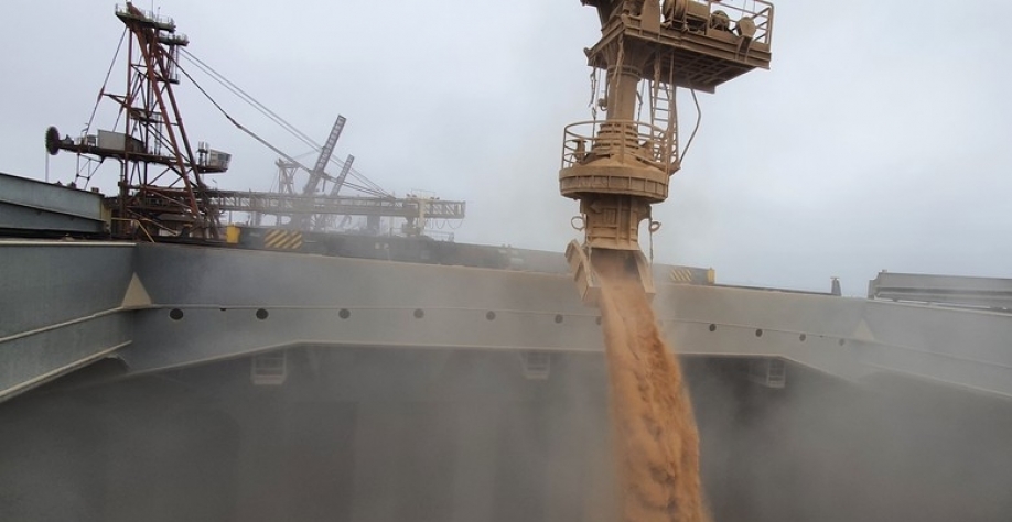 Navio é carregado no Porto de Paranaguá (Foto: Nájia Furlan/Portos do Paraná)