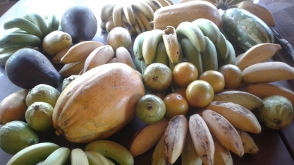 A resposta do agro paulista à Covid-19