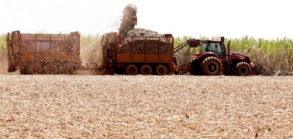 Produção de açúcar do centro-sul aumenta 57% na 1ª quinzena de novembro
