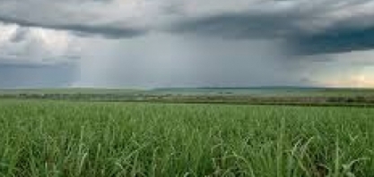 Sistema TEMPOCAMPO divulga boletim de outubro