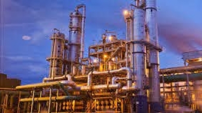 Biosev registra lucro líquido de R$ 155,5 milhões no 6M21