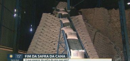 Falta de chuva traz incertezas sobre a situação da safra de cana-de-açúcar para 2021