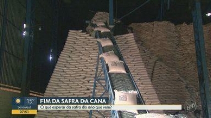 Falta de chuva traz incertezas sobre a situação da safra de cana-de-açúcar para 2021