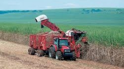 Valor da produção agropecuária do Brasil deve superar R$1 tri em 2021 pela 1ª vez