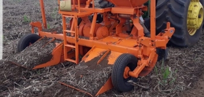 Usina Santo Ângelo realiza experimento para aumentar ainda mais a idade média do canavial