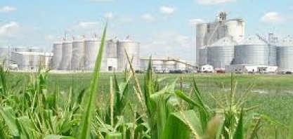 Produção de etanol nos EUA aumenta 1,75% na semana, para 991 mil barris/dia
