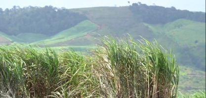 Produtores de cana arrendam usinas em Pernambuco e retomam a indústria sucroenergética