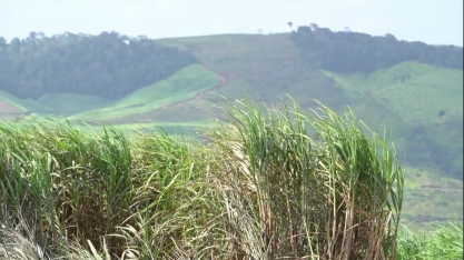 Produtores de cana arrendam usinas em Pernambuco e retomam a indústria sucroenergética