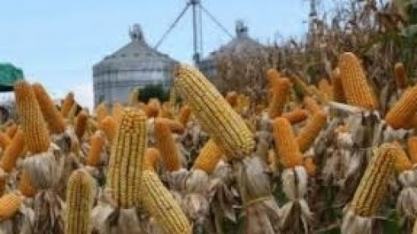 CNA vê avanço menor do PIB do campo em 2021, mas ainda forte