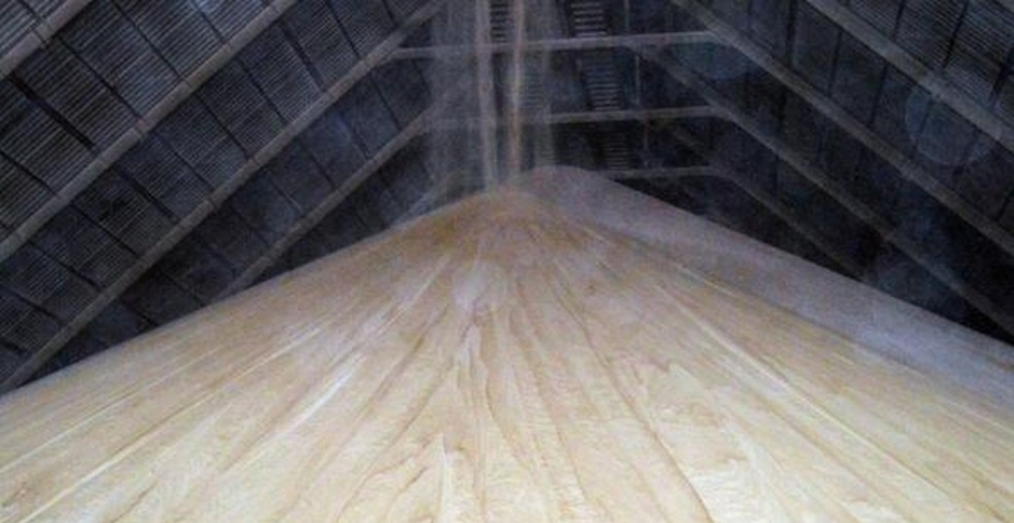 MS ampliou produção e exportação de açúcar em 2020 — Foto: Anderson Viegas/G1 MS