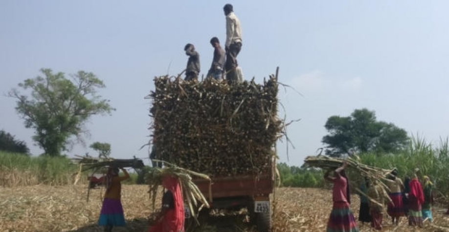 Economia rural indiana pode mudar com menor participação do estado (Imagem: REUTERS/Rajendra Jadhav)