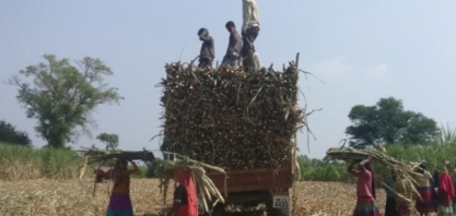 Protestos na Índia mostram que não será fácil o país deixar de ser o Brasil rural do passado