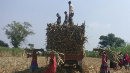 Protestos na Índia mostram que não será fácil o país deixar de ser o Brasil rural do passado
