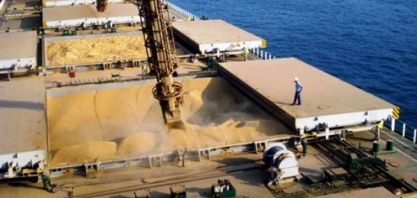 Quantas variáveis variando violentamente no agro!