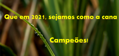 Que em 2021 sejamos como a cana: Campeões!