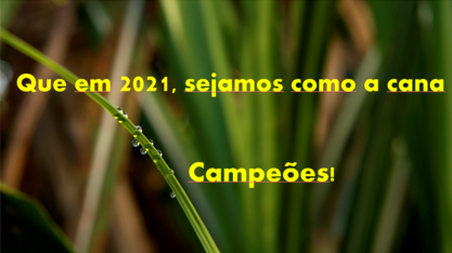 Que em 2021 sejamos como a cana: Campeões!