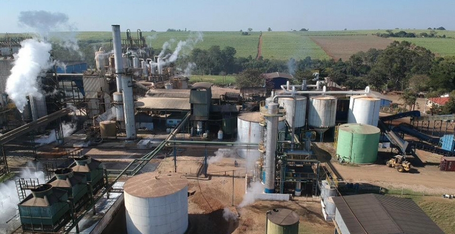 Tecnologia blockchain está sendo aplicada na cadeia produtiva da cana-de-açúcar. Foto: Usina Granelli (Divulgação)