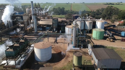 Pesquisa agropecuária usa blockchain para rastrear cadeia da cana-de-açúcar