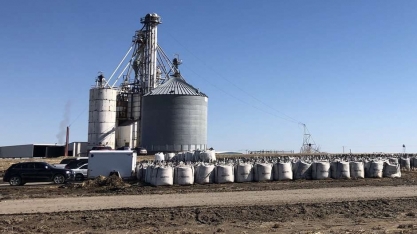 Sem avanço em negociação com EUA, cota do Brasil para etanol expira dia 14, diz fonte