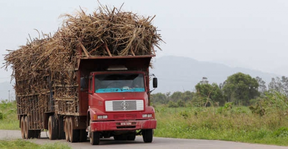 De acordo com a União da Indústria de Cana-de-Açúcar (Unica), a cota amplia o acesso a um mercado que era suprido majoritariamente pelo produto da União Europeia (Imagem: REUTERS/Sergio Moraes)