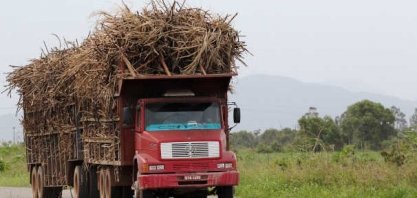 Reino Unido cria cota para compra de açúcar de cana sem tarifa, diz Unica