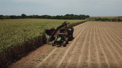 Safra 2020/2021: moagem da cana-de-açúcar atinge 42 milhões de toneladas no MS em MS