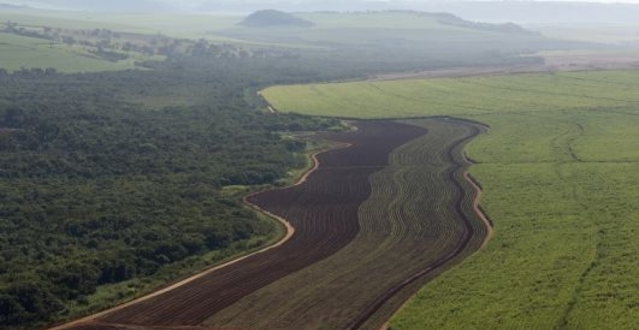 Usinas Sócias - Vista aérea de uma das usinas associadas da Copersucar que emitiu cerca de 4 milhões de CBios em 2020 (Foto: Na Lata)