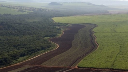Copersucar: programa brasileiro contribui com a redução do aquecimento global
