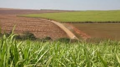 Novo fundo de investimento aproxima capital financeiro do agronegócio