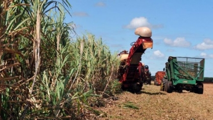 BNDES suspende novamente financiamento do Pronaf por esgotamento de recursos