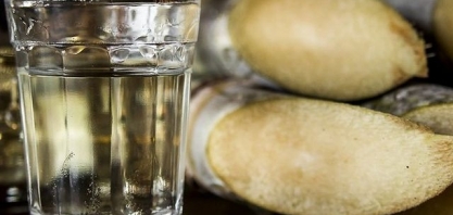 Agricultores familiares de Santa Catarina produzem as melhores cachaças do mundo