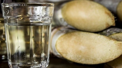 Agricultores familiares de Santa Catarina produzem as melhores cachaças do mundo